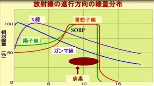 可愈有道_质子重离子