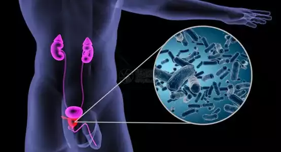可愈有道_前列腺癌的八个高危因素