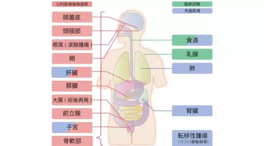 可愈有道_QST医院重离子治疗