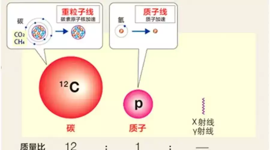 可愈有道_QST医院重离子治疗